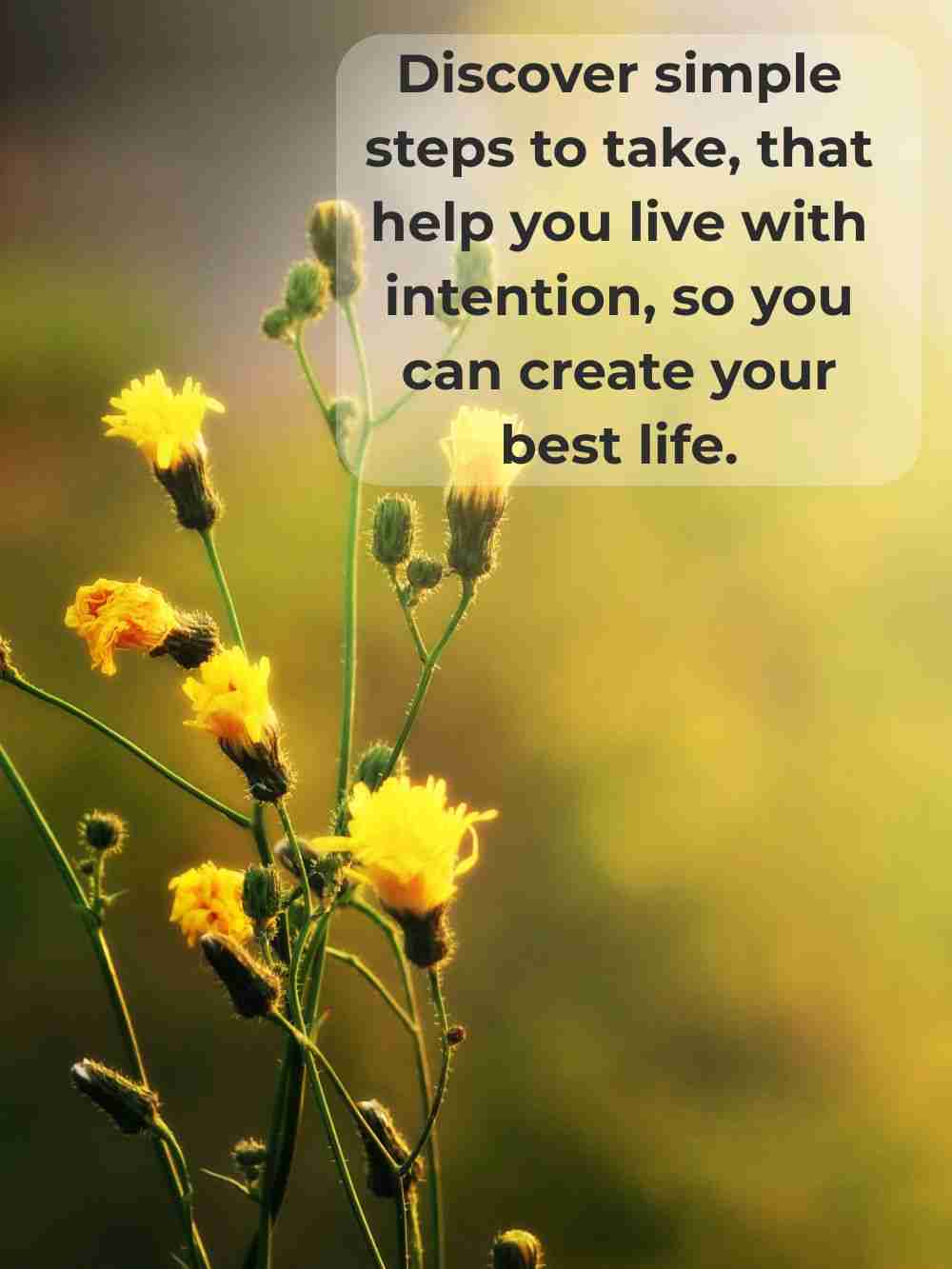 ​Discover How to Manifest Your Greatest Desires by Simply Living with Intention